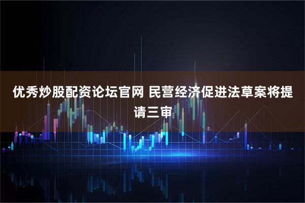 优秀炒股配资论坛官网 民营经济促进法草案将提请三审
